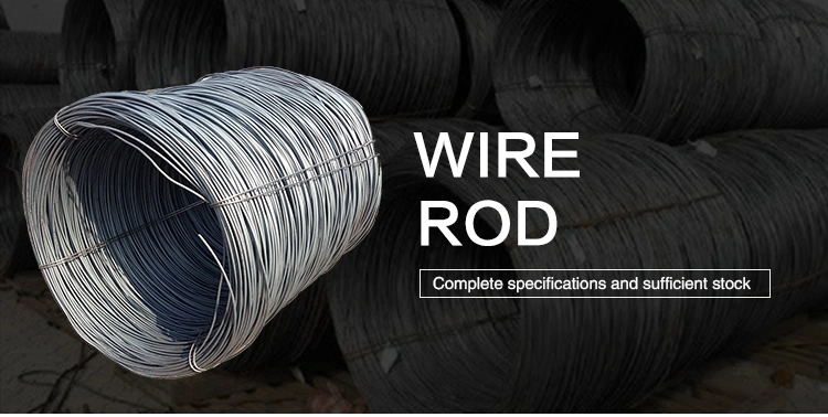 Stainless Steel Wire Rod Galvanized Steel Wire Carbon Steel Wire China Brand 0.7mm 0.8mm 1.2mm 1.6mm 1.8mm 2mm Diameter Galvanized Steel Wire